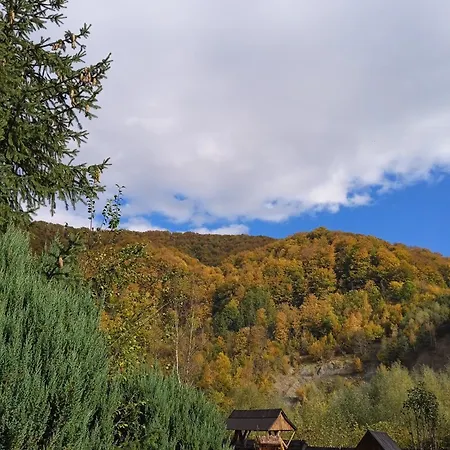 Πανσιόν Stara Khata карпати