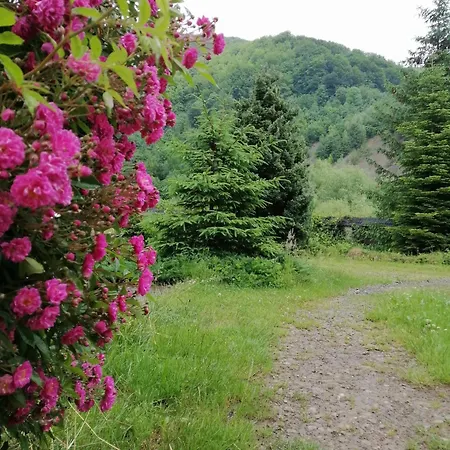 Stara Khata карпати Casa de hóspedes