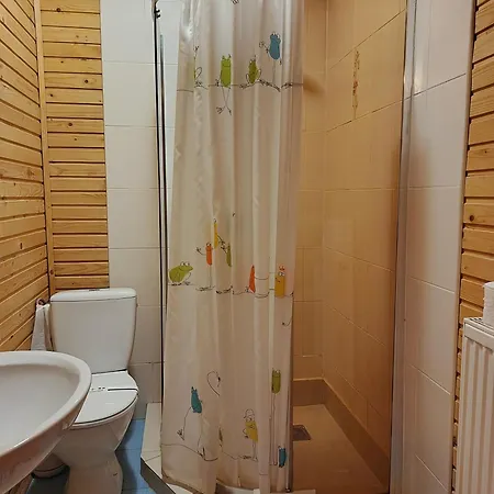 Guest house Stara Khata карпати 4*
