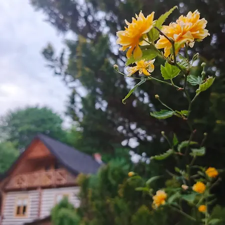 Stara Khata карпати