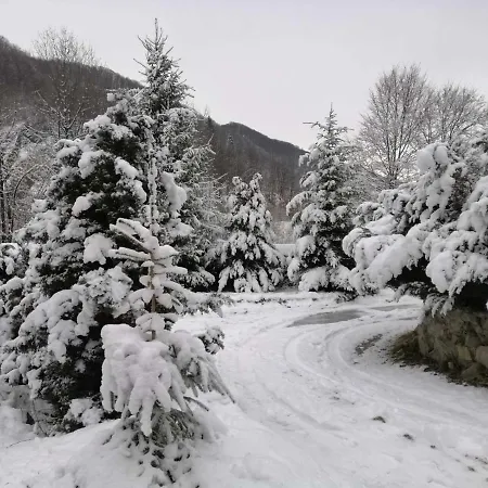 Stara Khata карпати 4* Sheshory