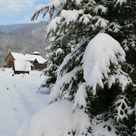 Stara Khata карпати Gæstehus