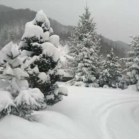 Gæstehus Stara Khata карпати 4*