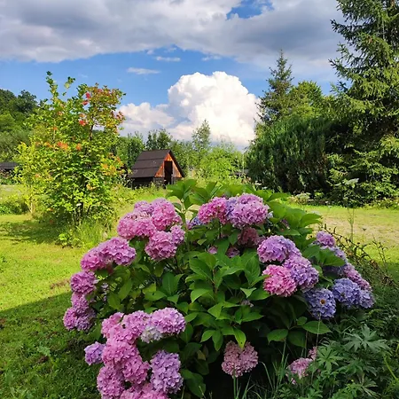 Gæstehus Stara Khata карпати Sheshory